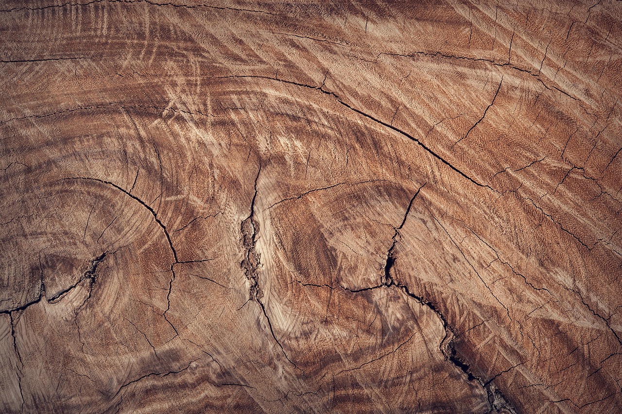 Home wood, mac wallpaper, windows wallpaper, full hd wallpaper, wallpaper hd, brown, free wallpaper, wallpaper 4k, desktop backgrounds, 4k wallpaper 1920x1080, wooden, close up, surface, hd wallpaper, texture, free background, cool backgrounds, brown texture, brown wood, beautiful wallpaper, wallpaper, laptop wallpaper, 4k wallpaper, background